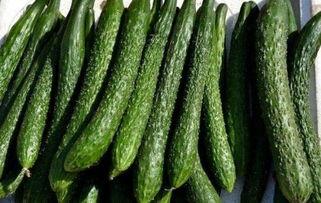 吃蓝瓜可以减肥吗吗,揭秘吃蓝瓜能否助你瘦身成功？”