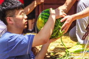 lucus吃瓜,揭秘娱乐圈背后的那些事儿