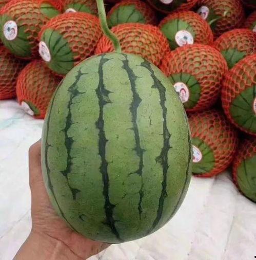 吃瓜后困,揭秘瓜果带来的奇妙睡眠效应