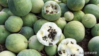 嗑瓜吃瓜,跟随嗑瓜吃瓜的节奏，畅游娱乐盛宴