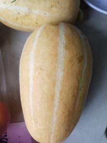 炒菜吃的瓜都有什么瓜,美味瓜果的烹饪之旅