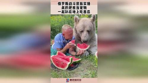 和宠物吃瓜,一场温馨的吃瓜盛宴