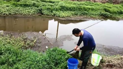 河边打野吃瓜,一场别开生面的野餐盛宴