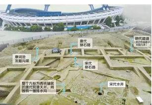 成都体育吃瓜,吃瓜群众的热议焦点