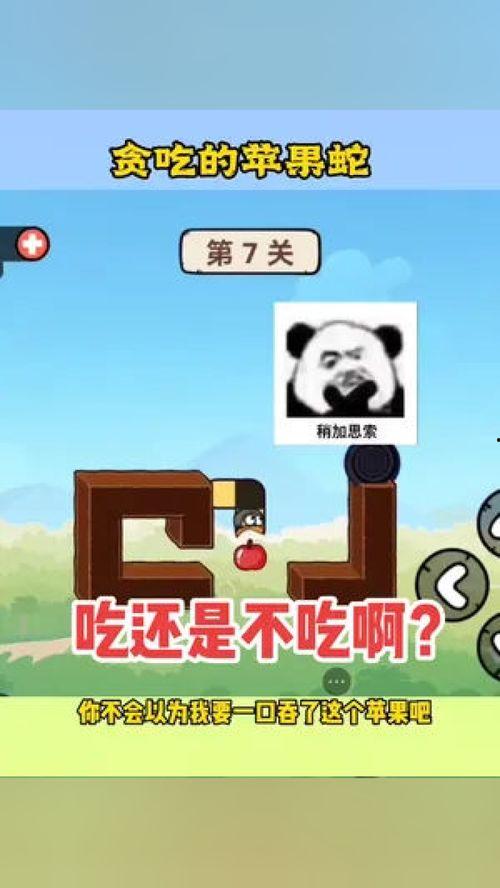 贪吃的苹果蛇吃瓜,一场贪吃瓜果的奇幻之旅